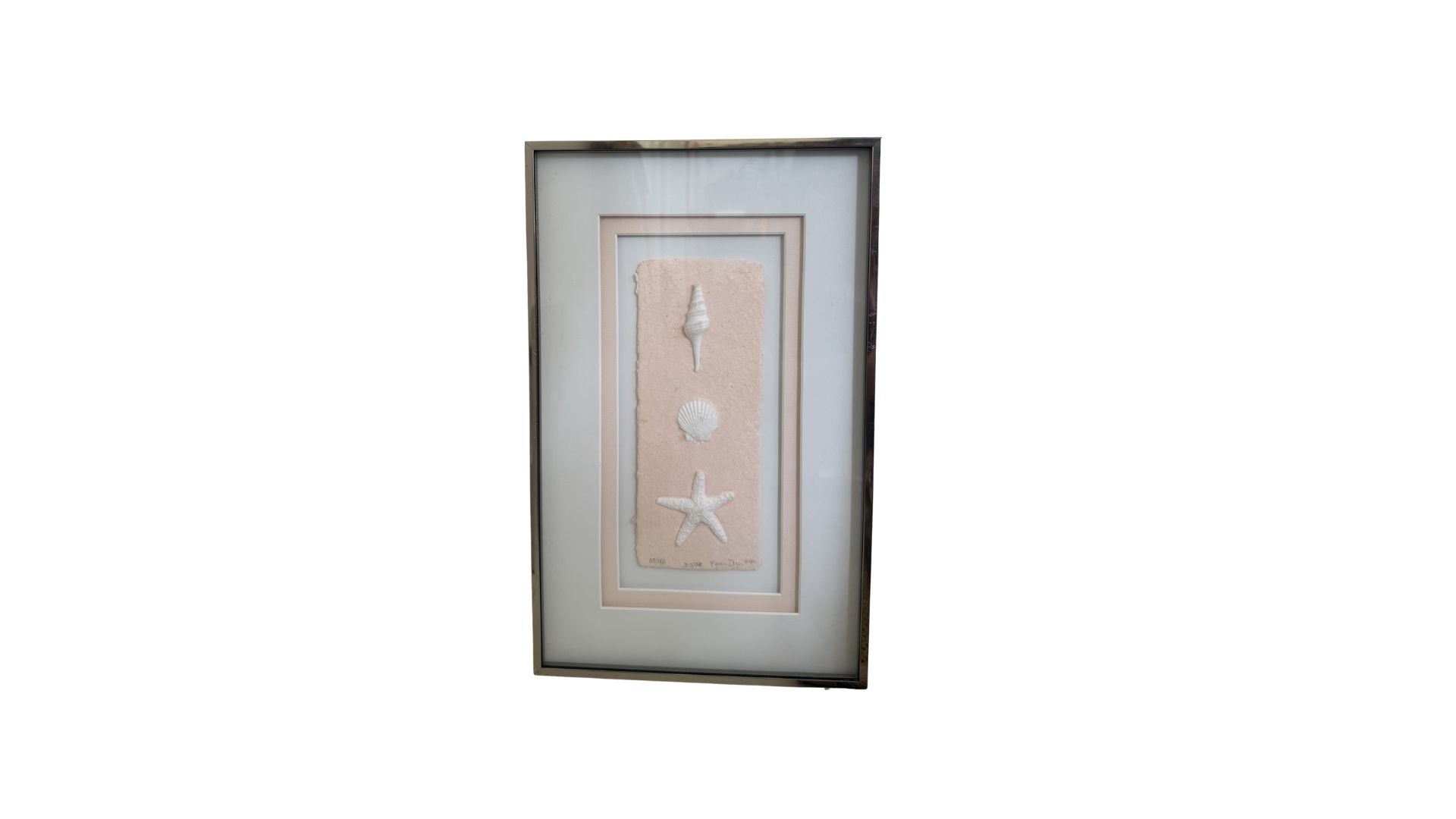 Vintage Seashell Art