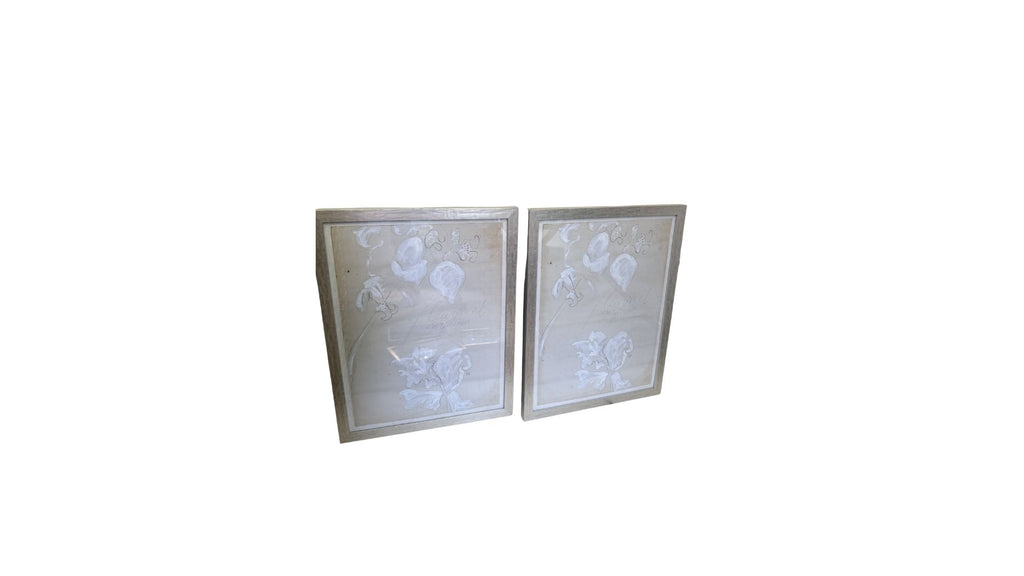 Framed Botanicals