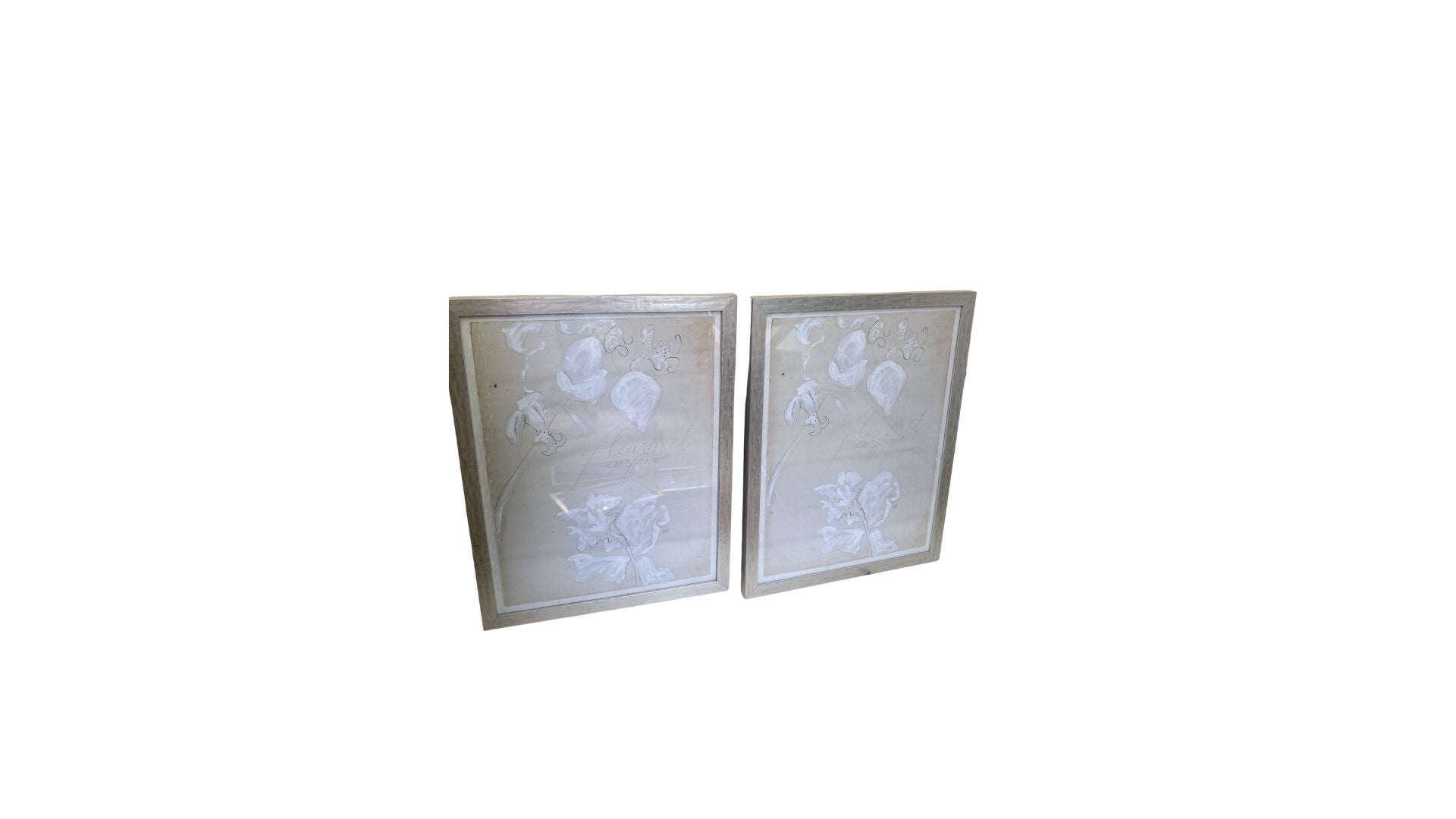 Framed Botanicals